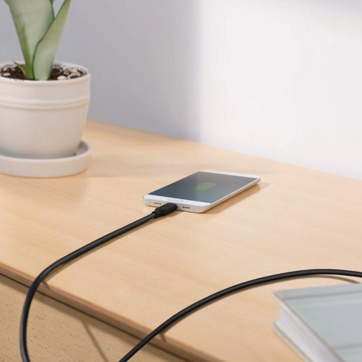 Anker PowerLine II USB-C & USB-C ケーブル (USB3.1 Gen2対応)