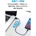 Anker PowerLine III USB-C & USB-C ケーブル (USB2.0対応) 0.3m
