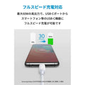 Anker PowerLine III USB-C & USB-C ケーブル (USB2.0対応) 1.8m