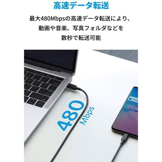 Anker PowerLine III USB-C & USB-C 2.0 100W ケーブル 1.8m